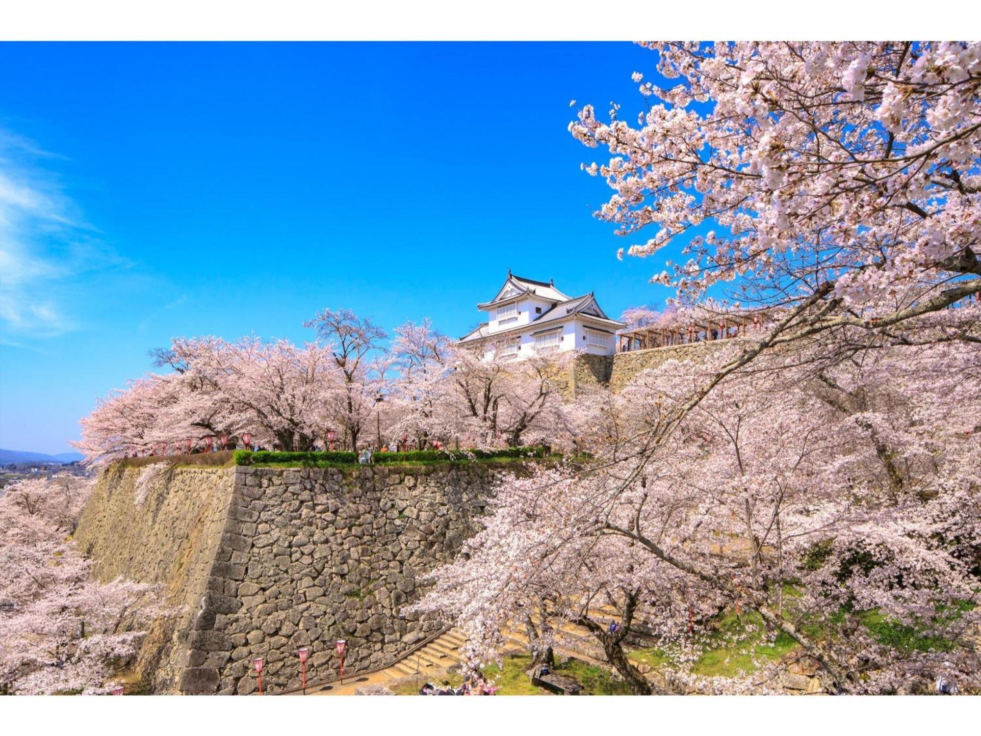 Tsuyama Kakuzan Hotel - Vacation Stay 75683V Exterior foto